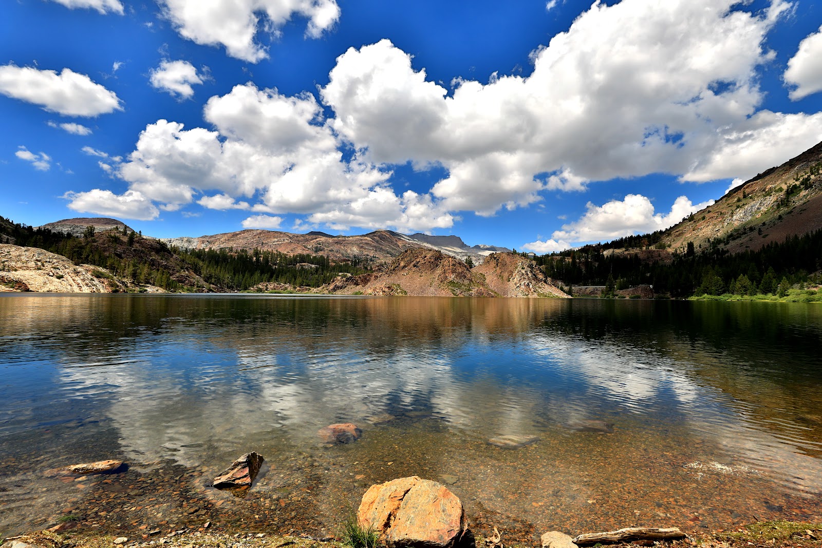 Ellery Lake Campground