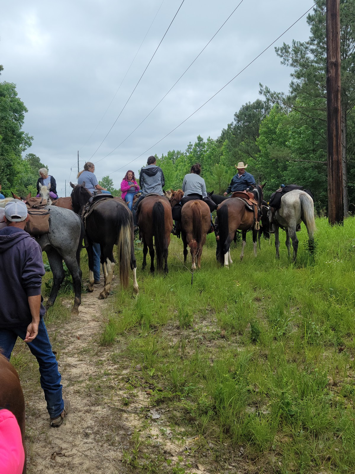 Stinkin' Jim's Horse Camp