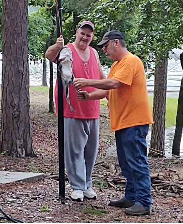 Kirby Landing Camping