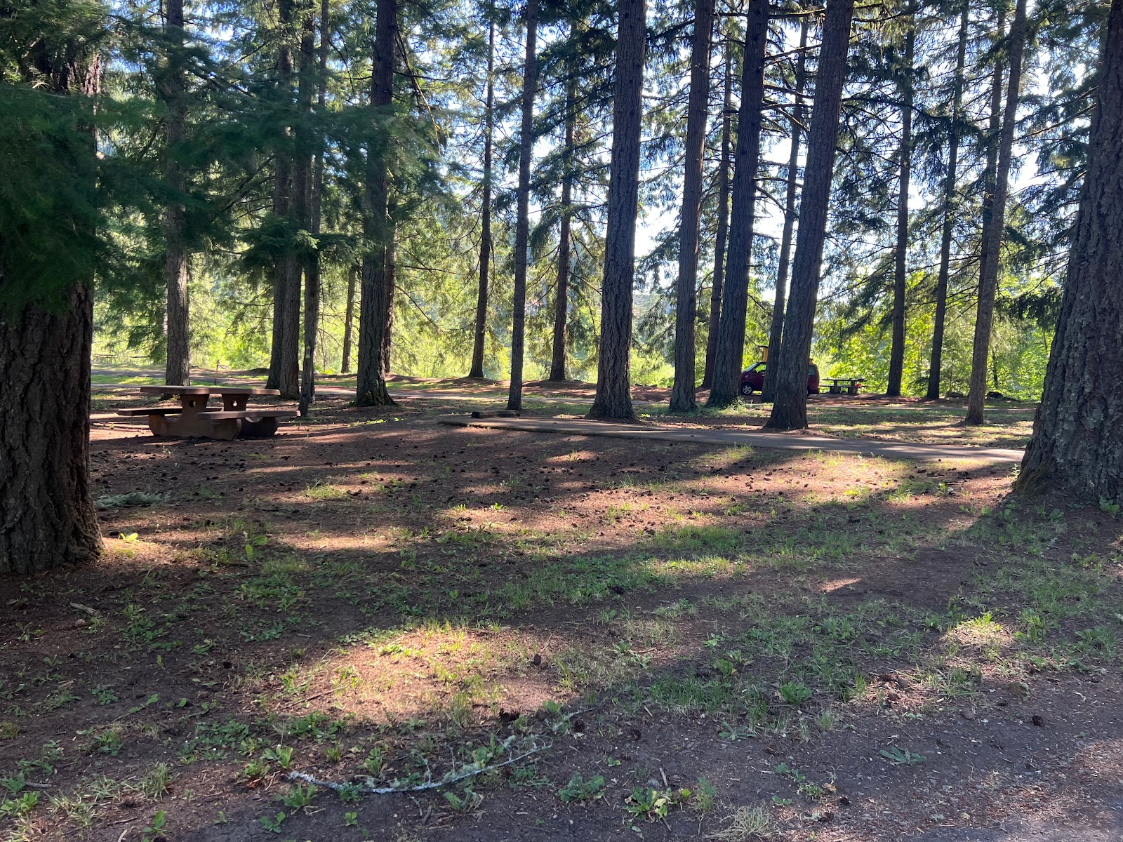 COE Dorena Reservoir Schwarz Campground