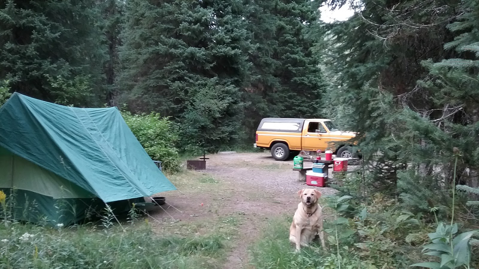 Spruce Tree Campground