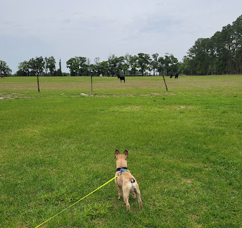 BREEZY ACRES CAMPGROUND
