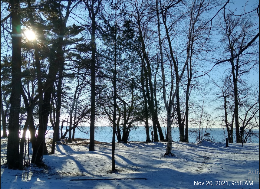 Lake Bemidji State Park