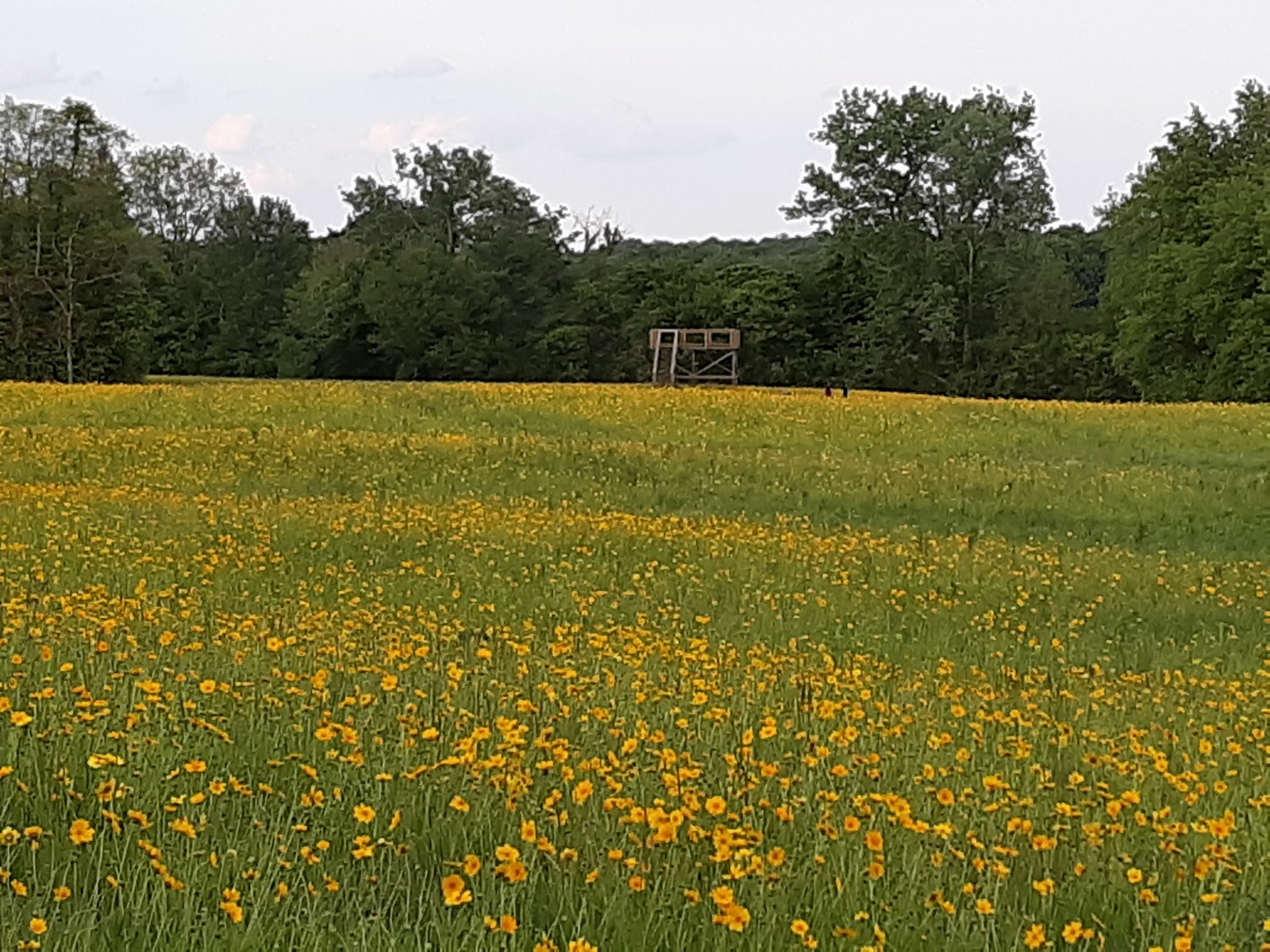 Cade Lake Park and Campground