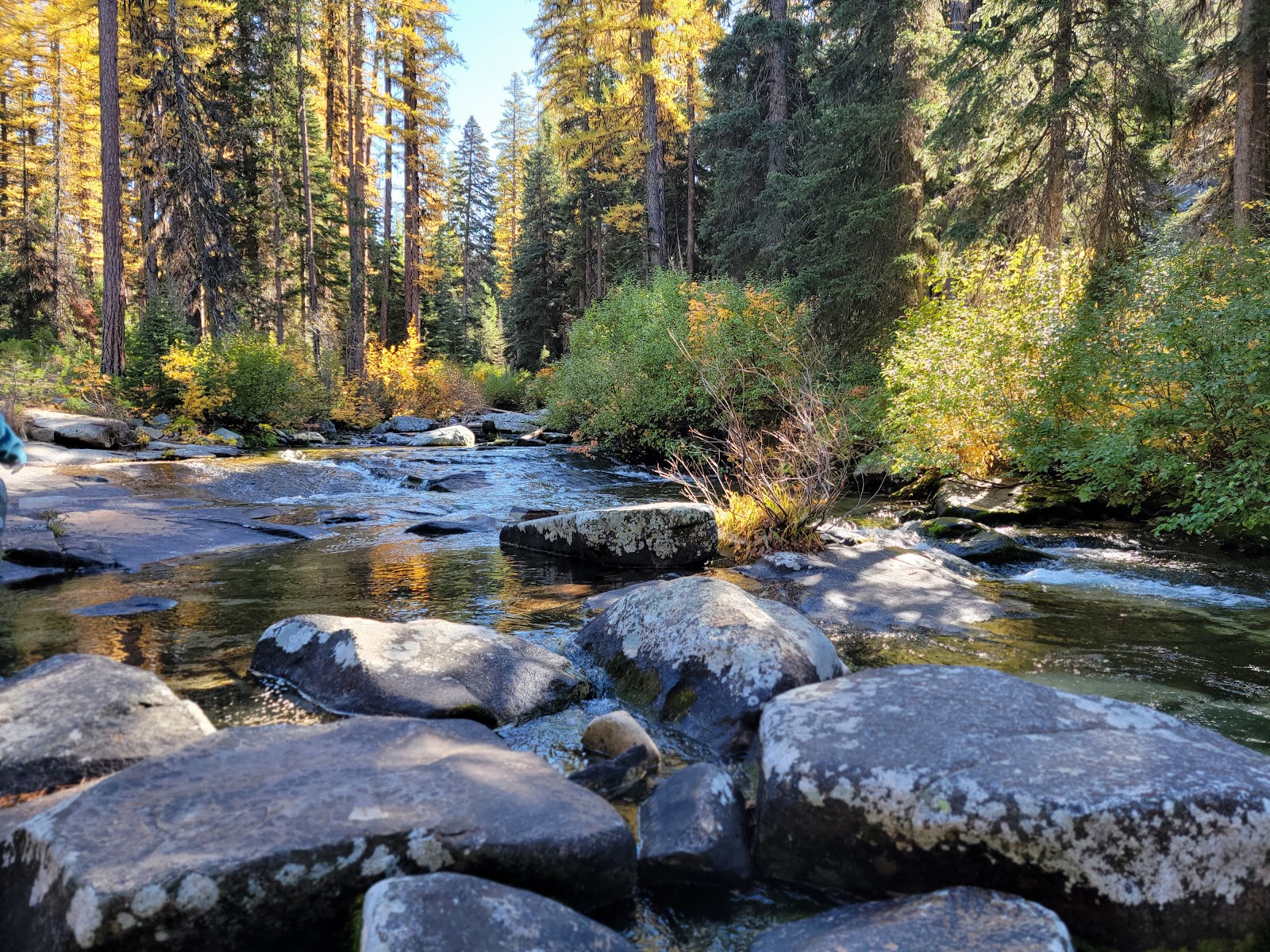 Kennally Creek Campground
