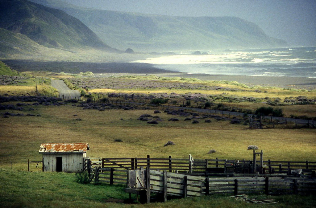 Redwood Meadows RV Resort