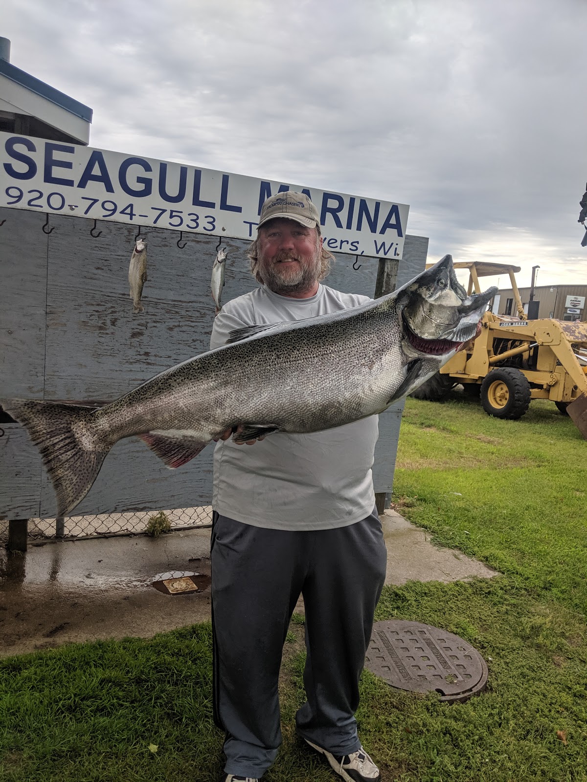 Seagull Marina & Campground