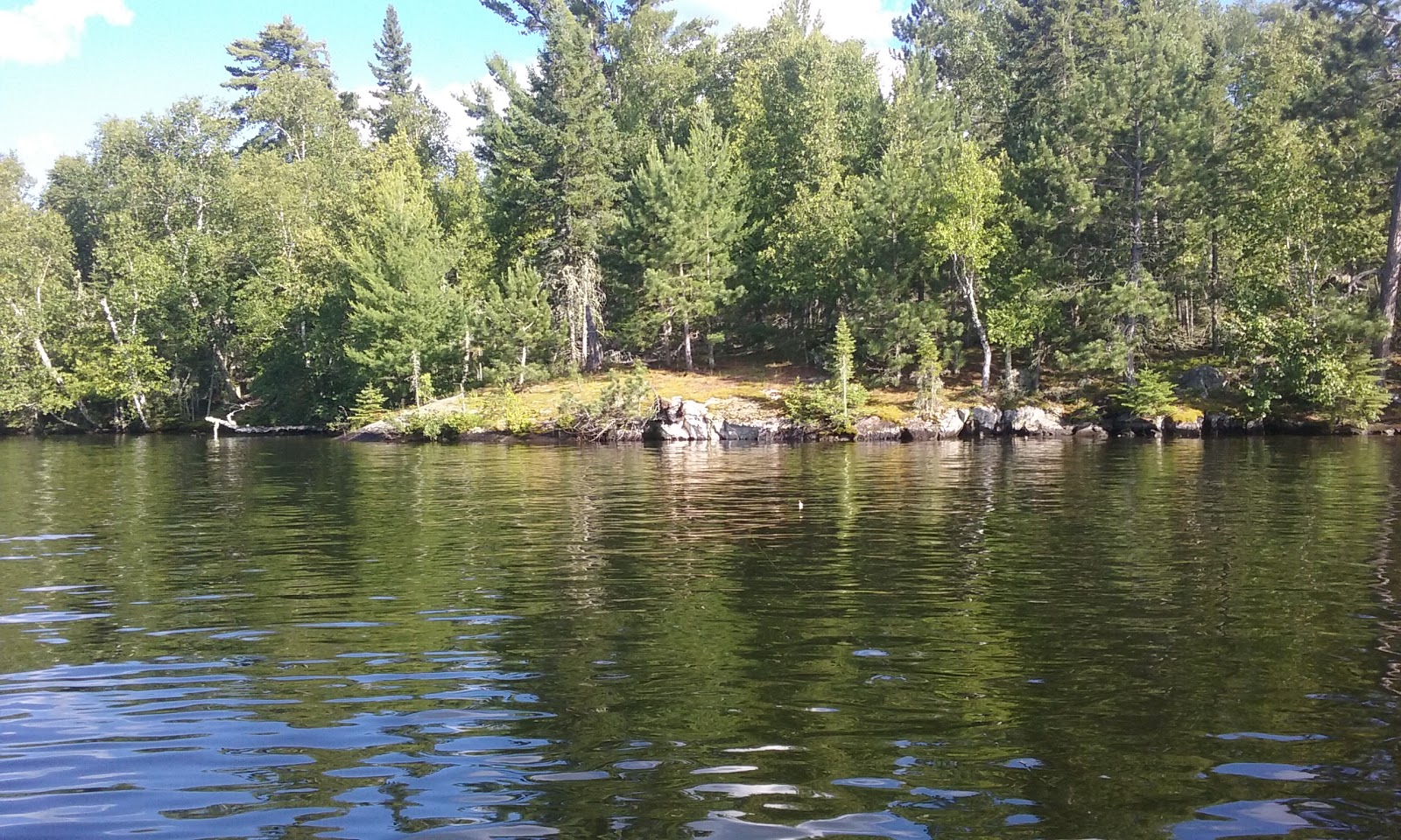 Hinsdale Island Campsites