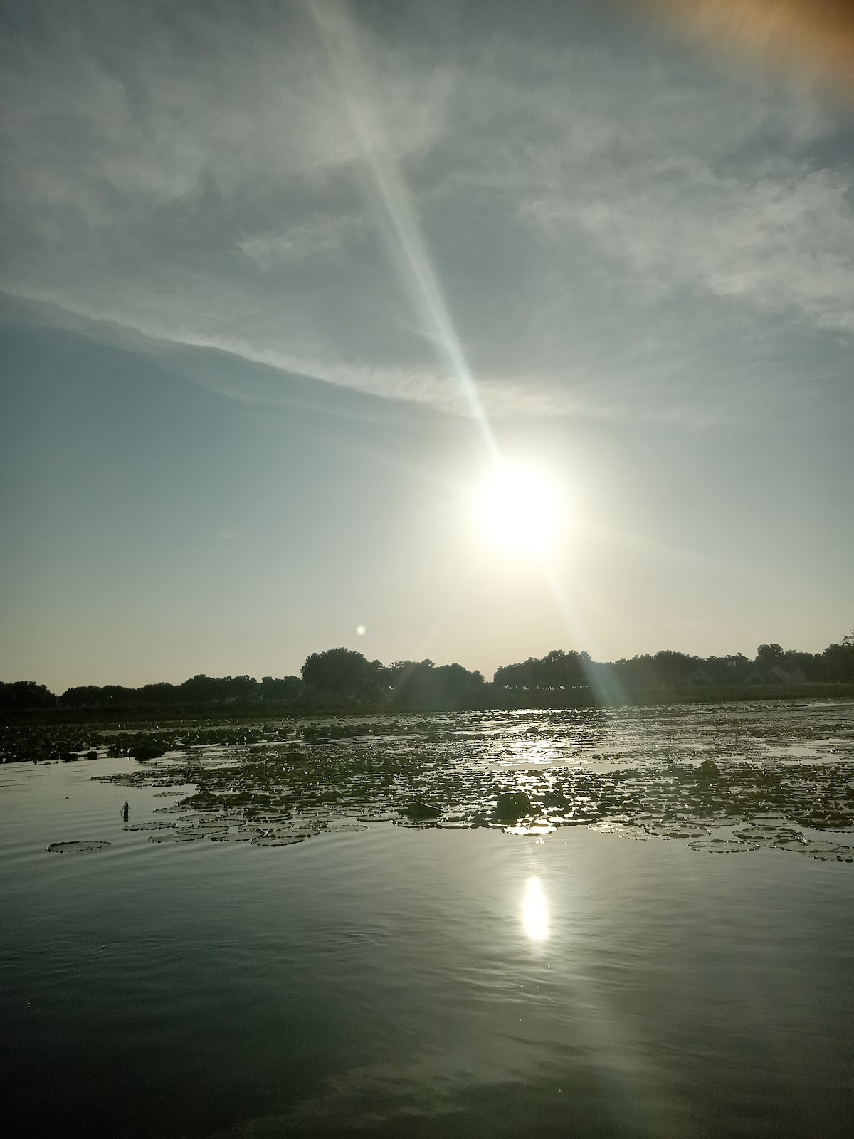 Lake Pasadena RV Park and Fish Camp