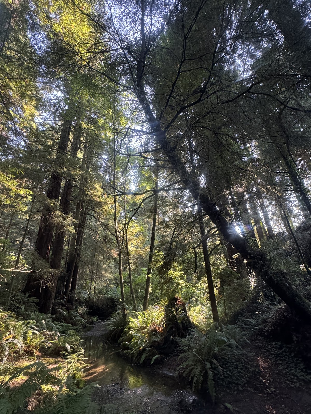 Sylvan Harbor RV Park and Cabins