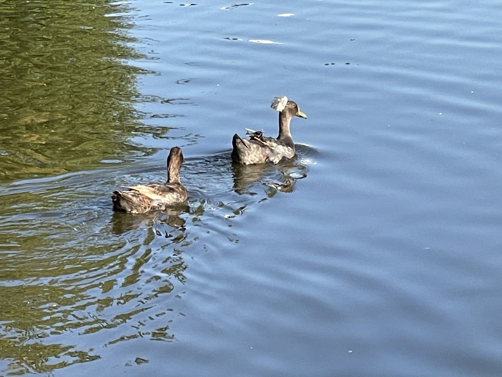 Catfish Place Campground