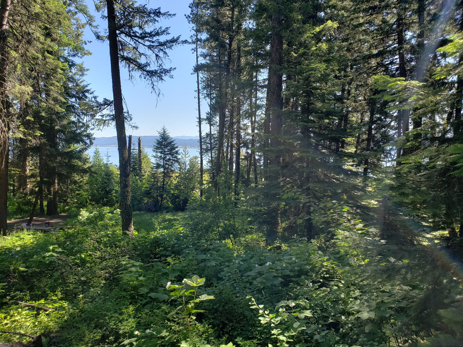 French Creek Campground