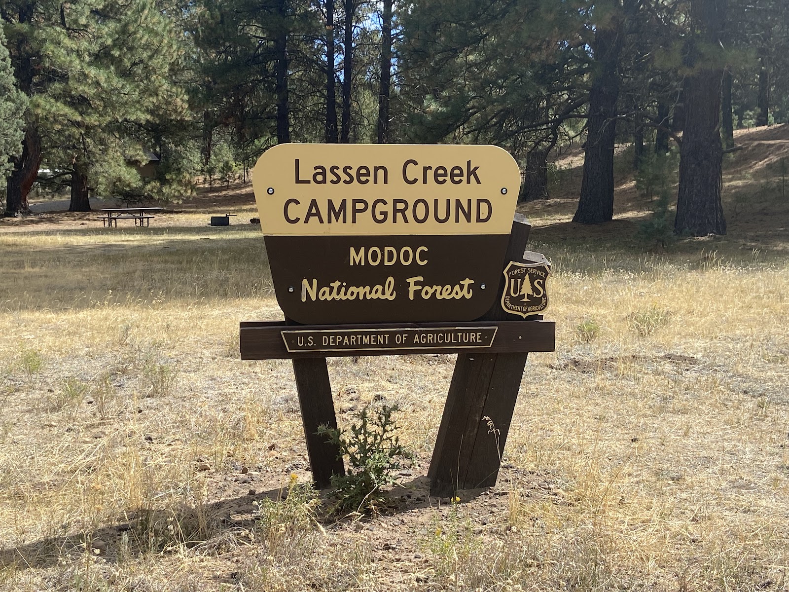Lassen Creek Campground