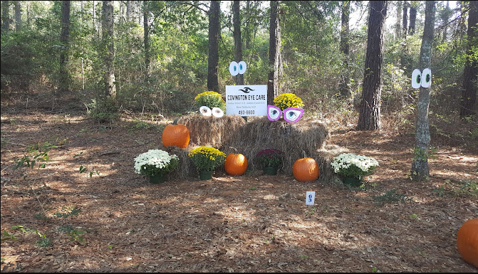 Frank Jackson State Park Campground