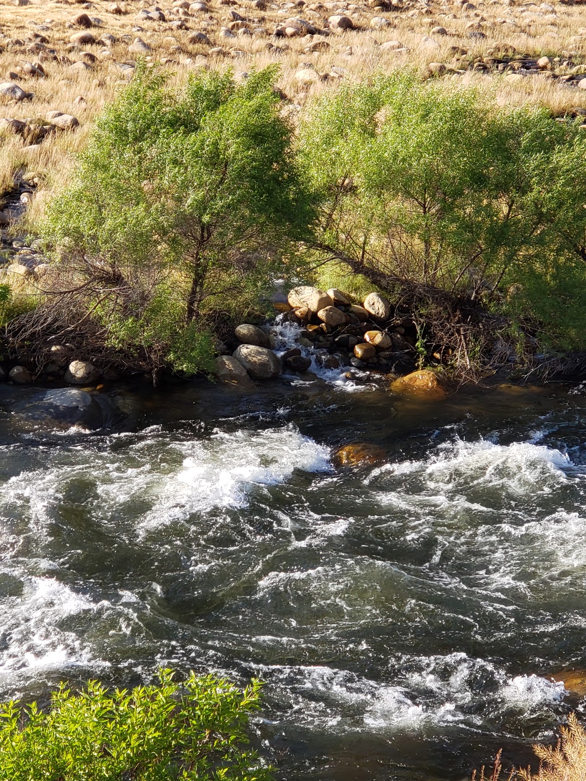 South Fork Campground - Sequoia National Park