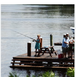 Tampa South RV Resort