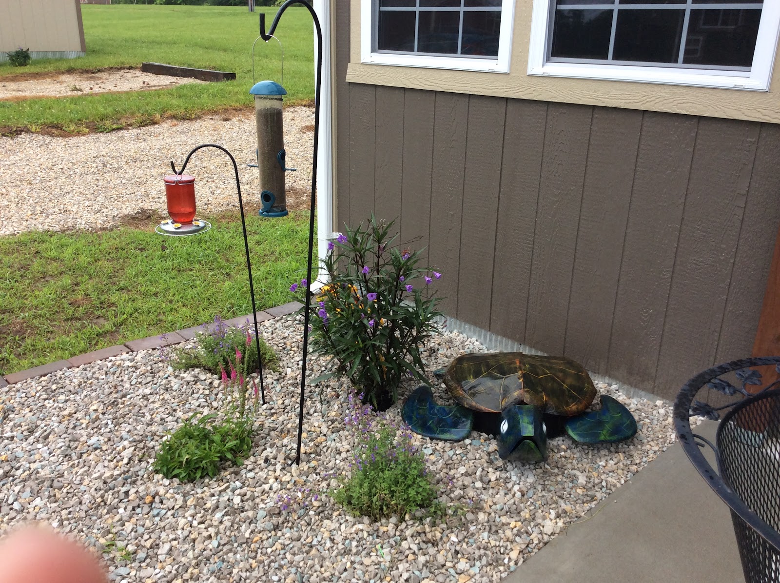 Tiny House Adventures