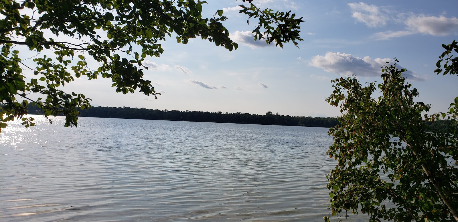 Mabel Lake Campground