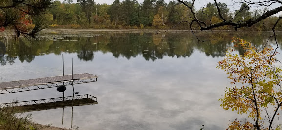 Hungryman Forest Campground