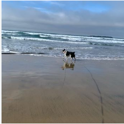 Beverly Beach State Park