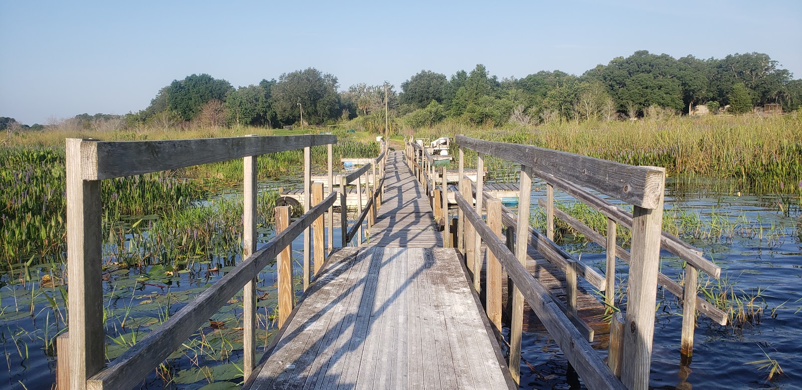 Lake in the Forest RV Resort