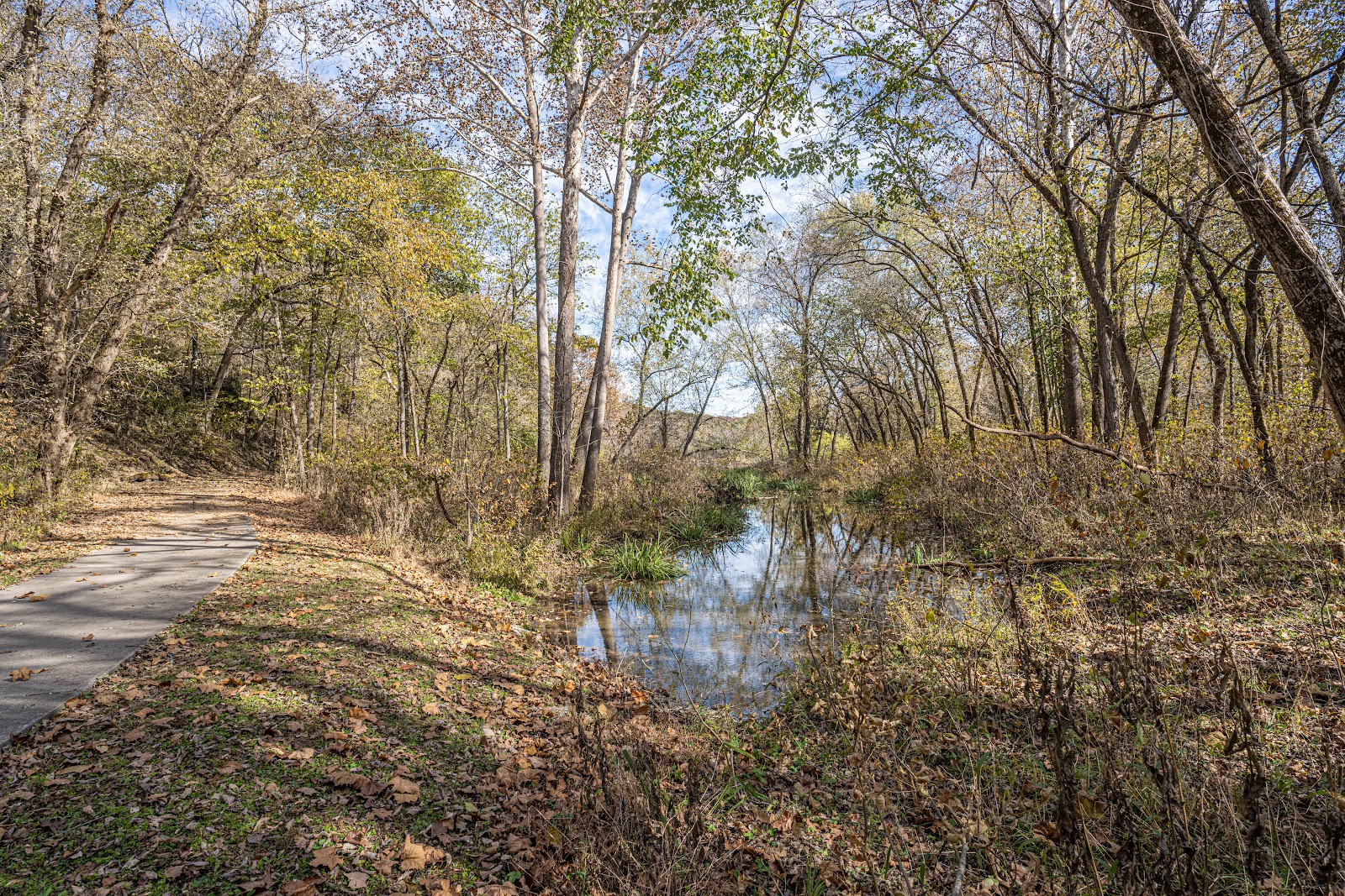 Onondaga Cave State Park
