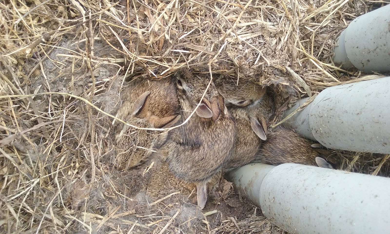 Melody Acres RV Park