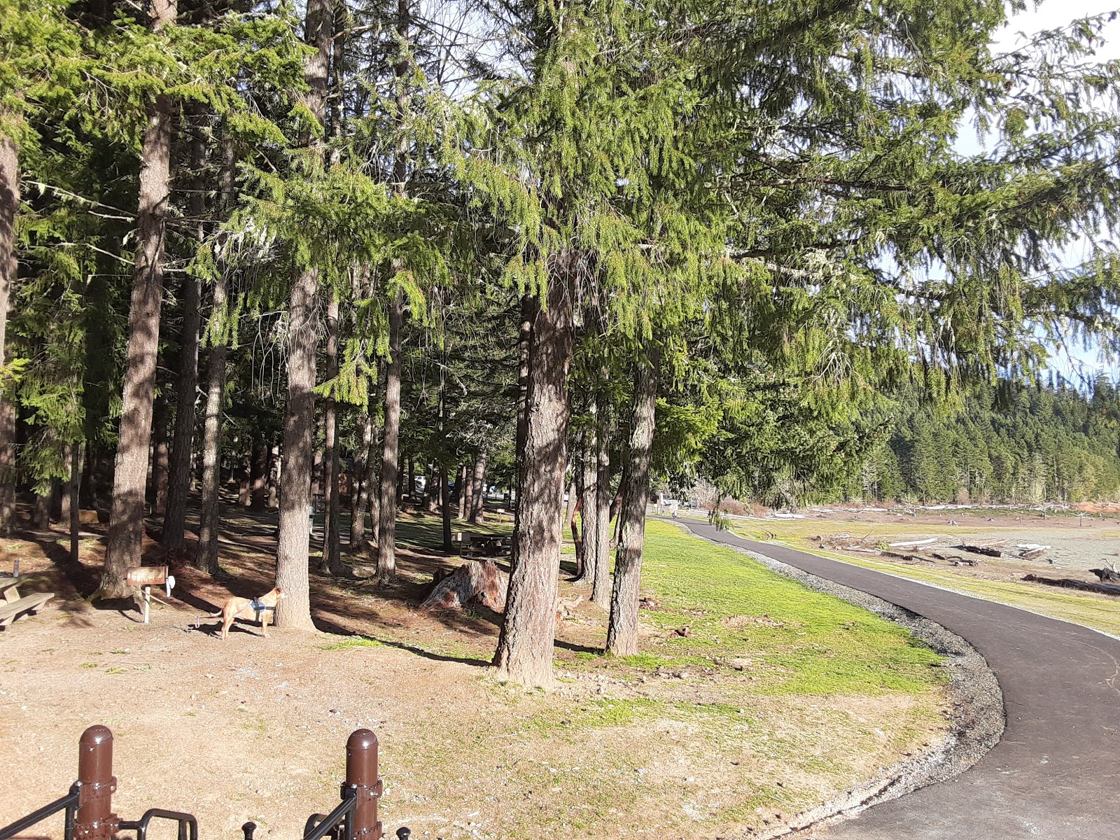 Chief Miwaleta Campground