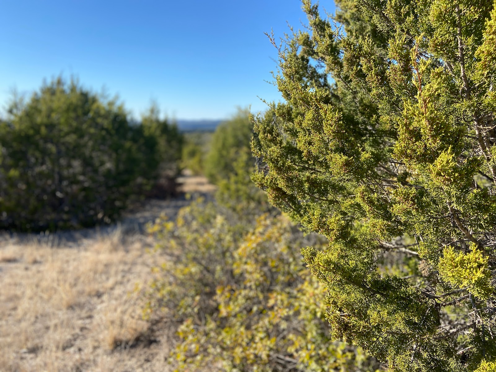 Main - South Llano River State Park