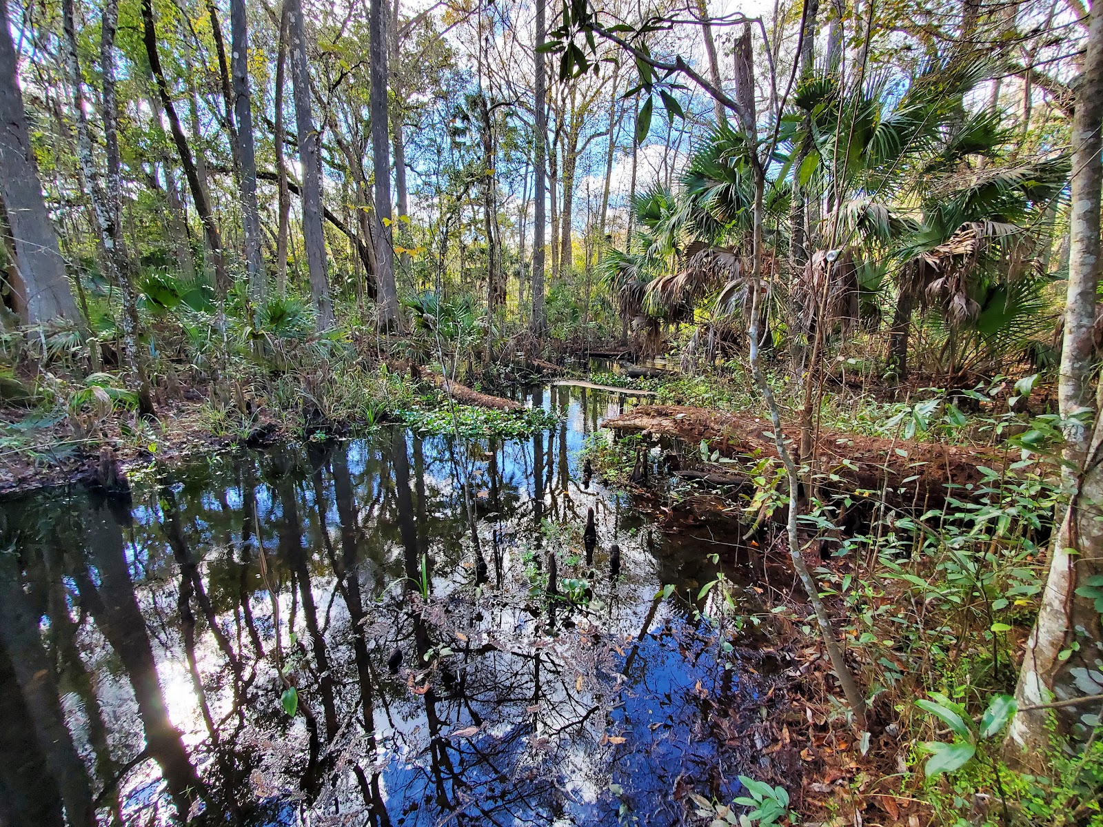 Shady Brook RV Resort