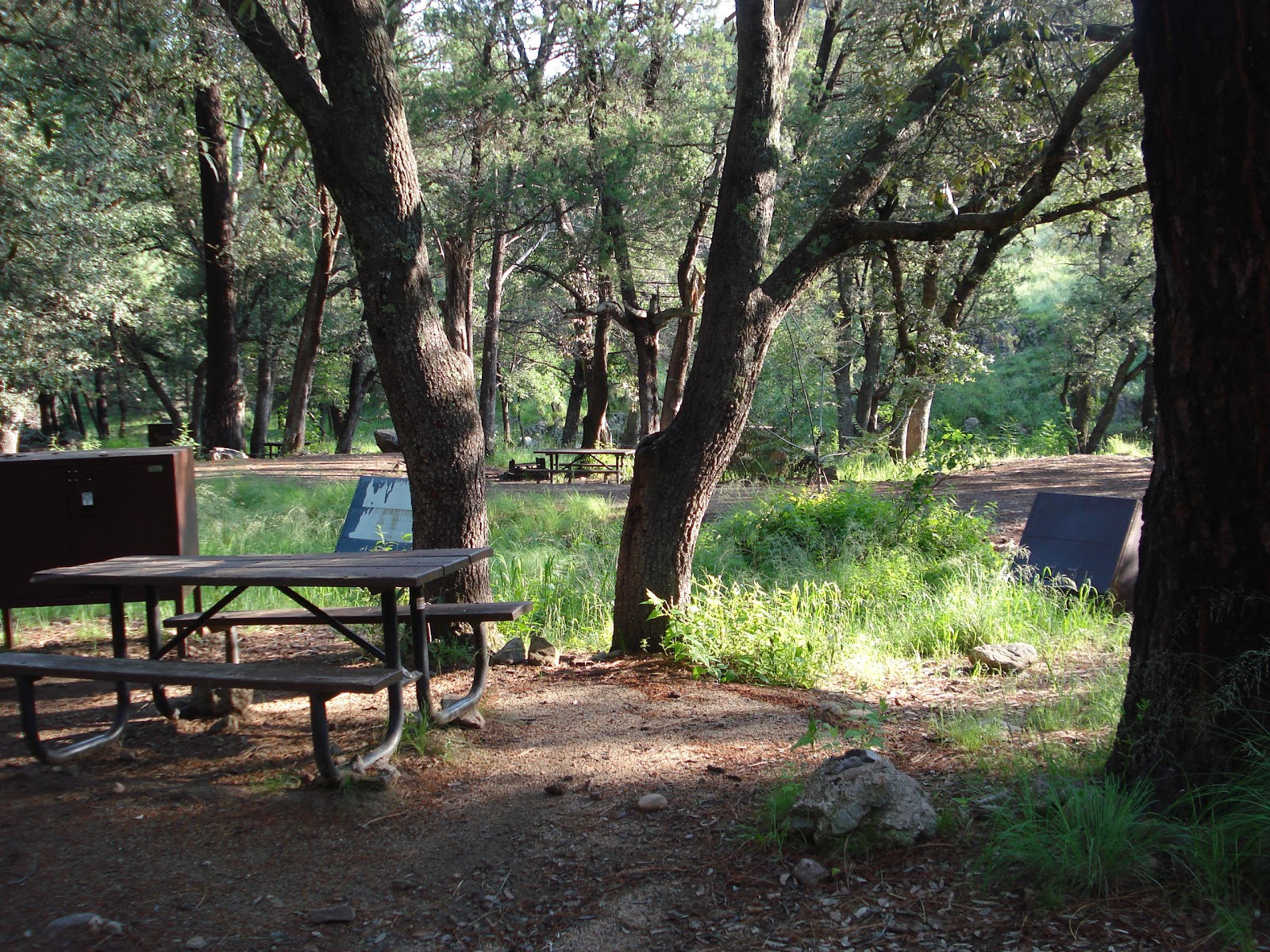 Sycamore Campground