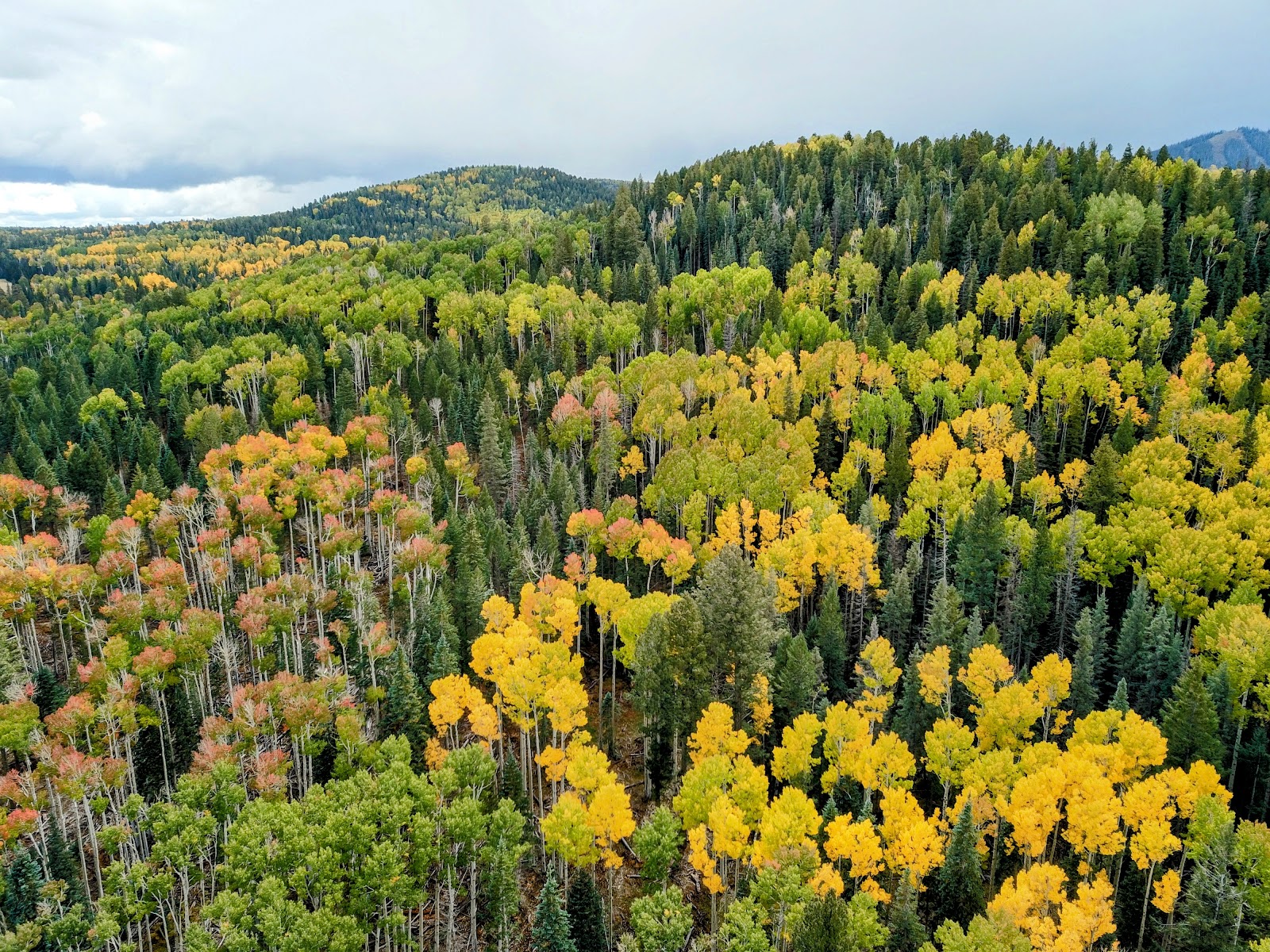 Benny Creek Group Area