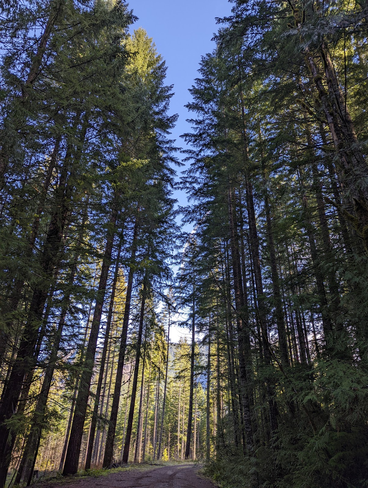 Hard Rock Group Campground