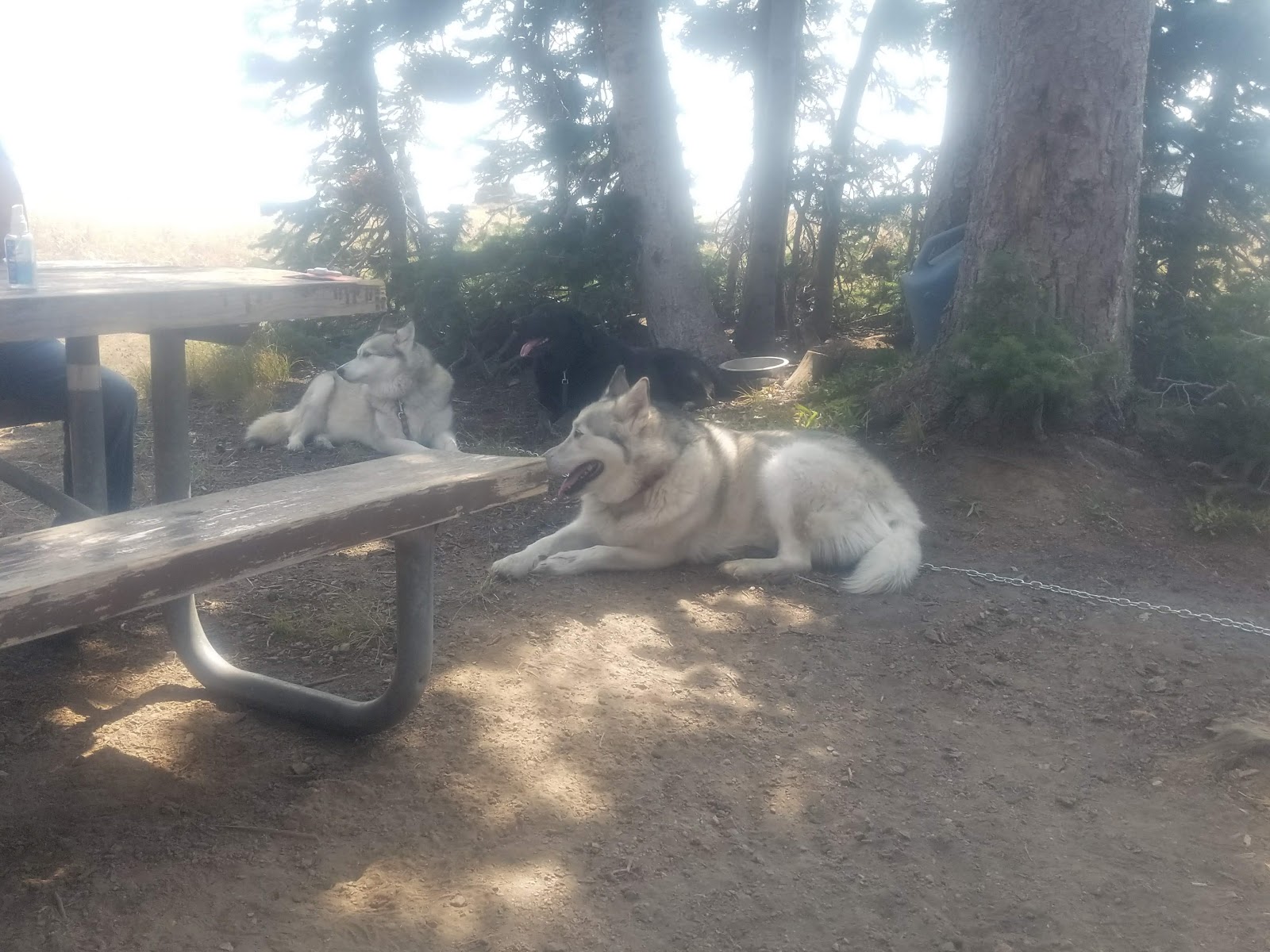 Howell Canyon Campground