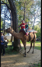 Suncatcher Lake Campground
