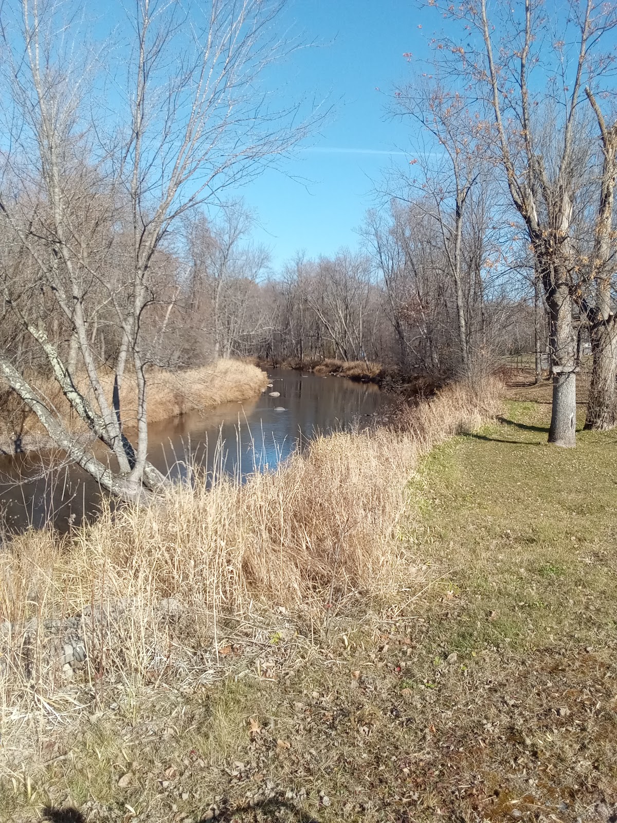 Jimmys World Campground and Bar