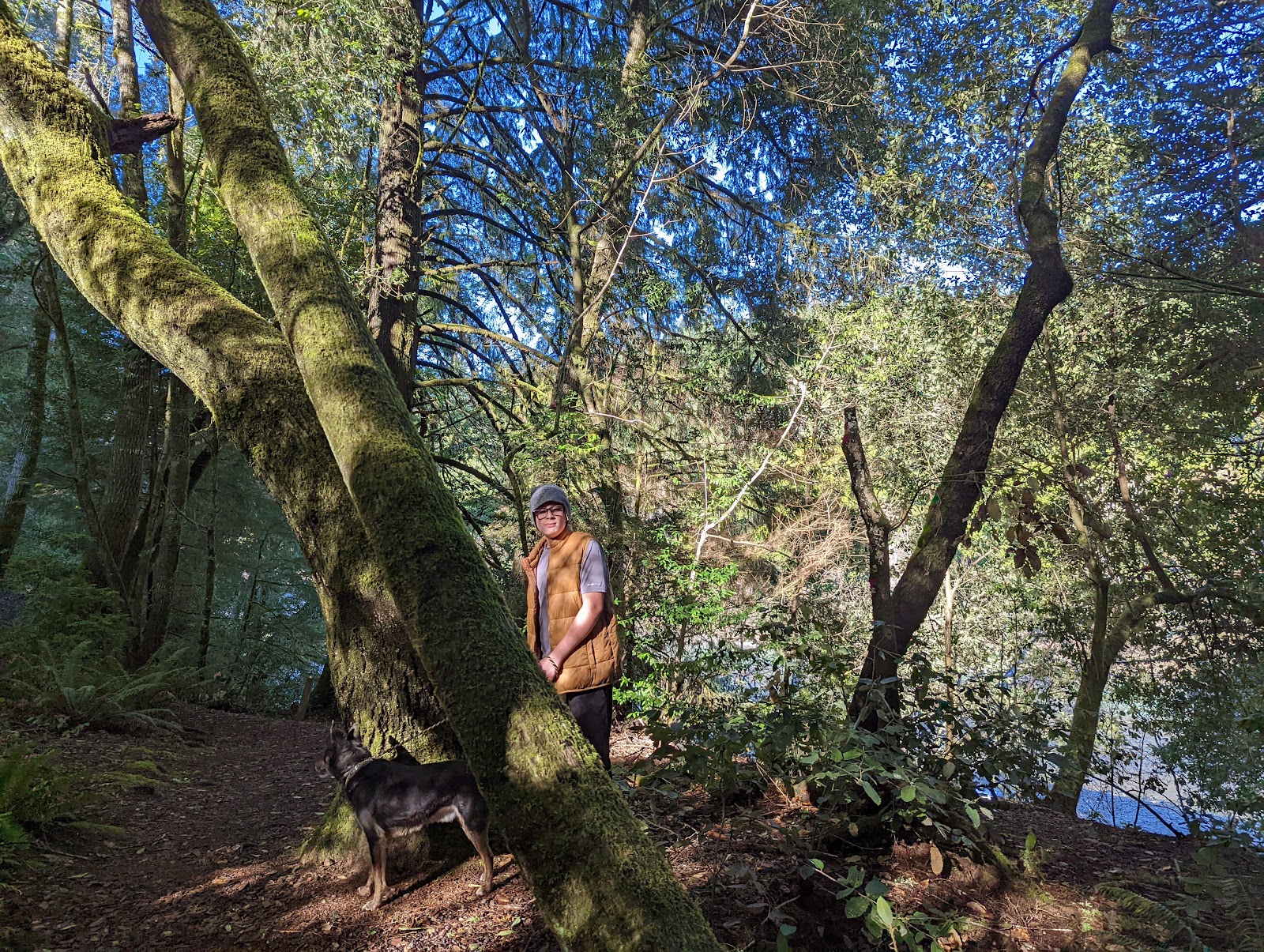 Alfred A Loeb State Park