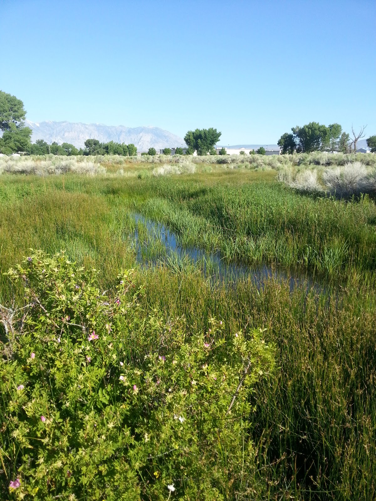 Shady Rest Trailer Park