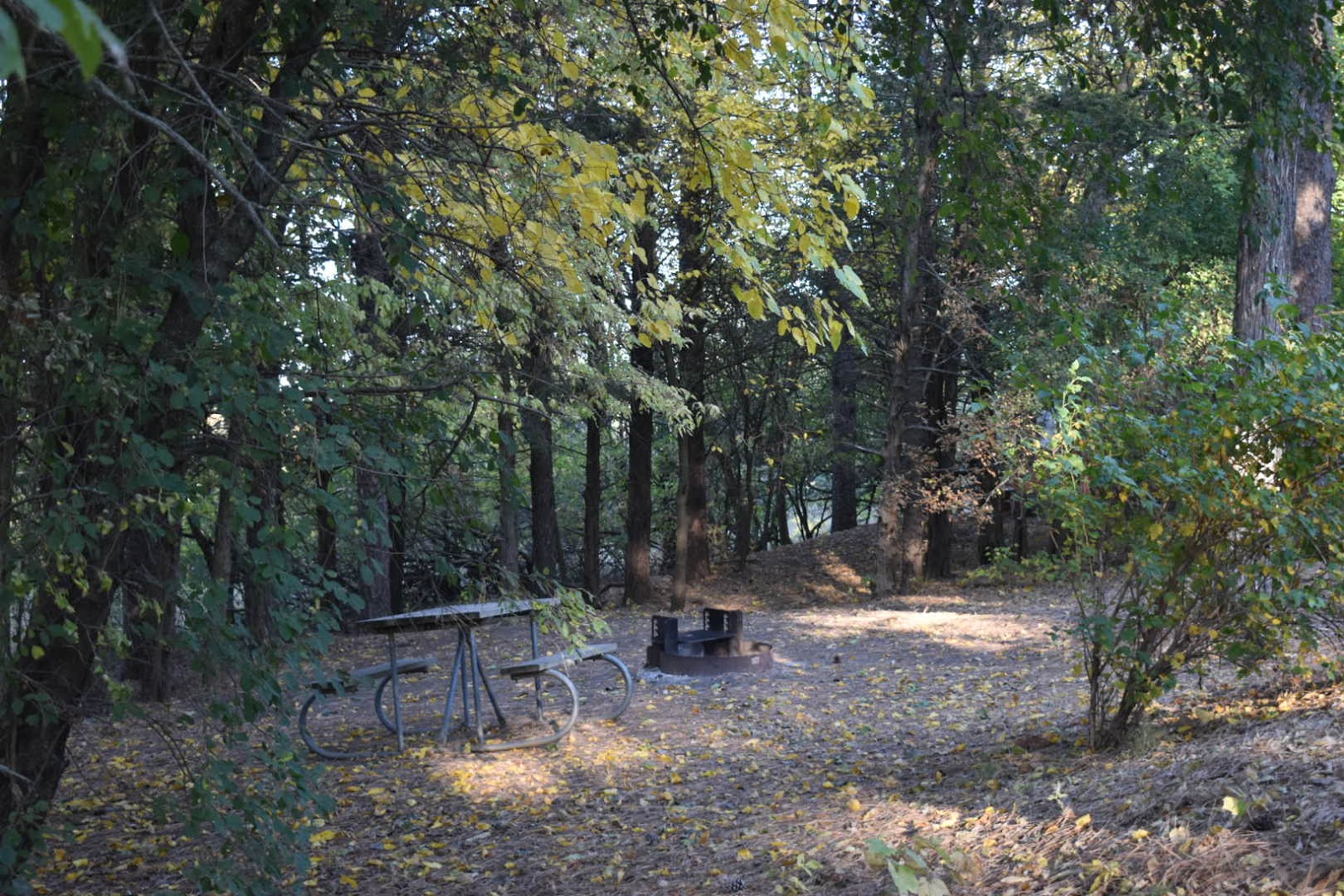 Main Camp - Union Grove State Park