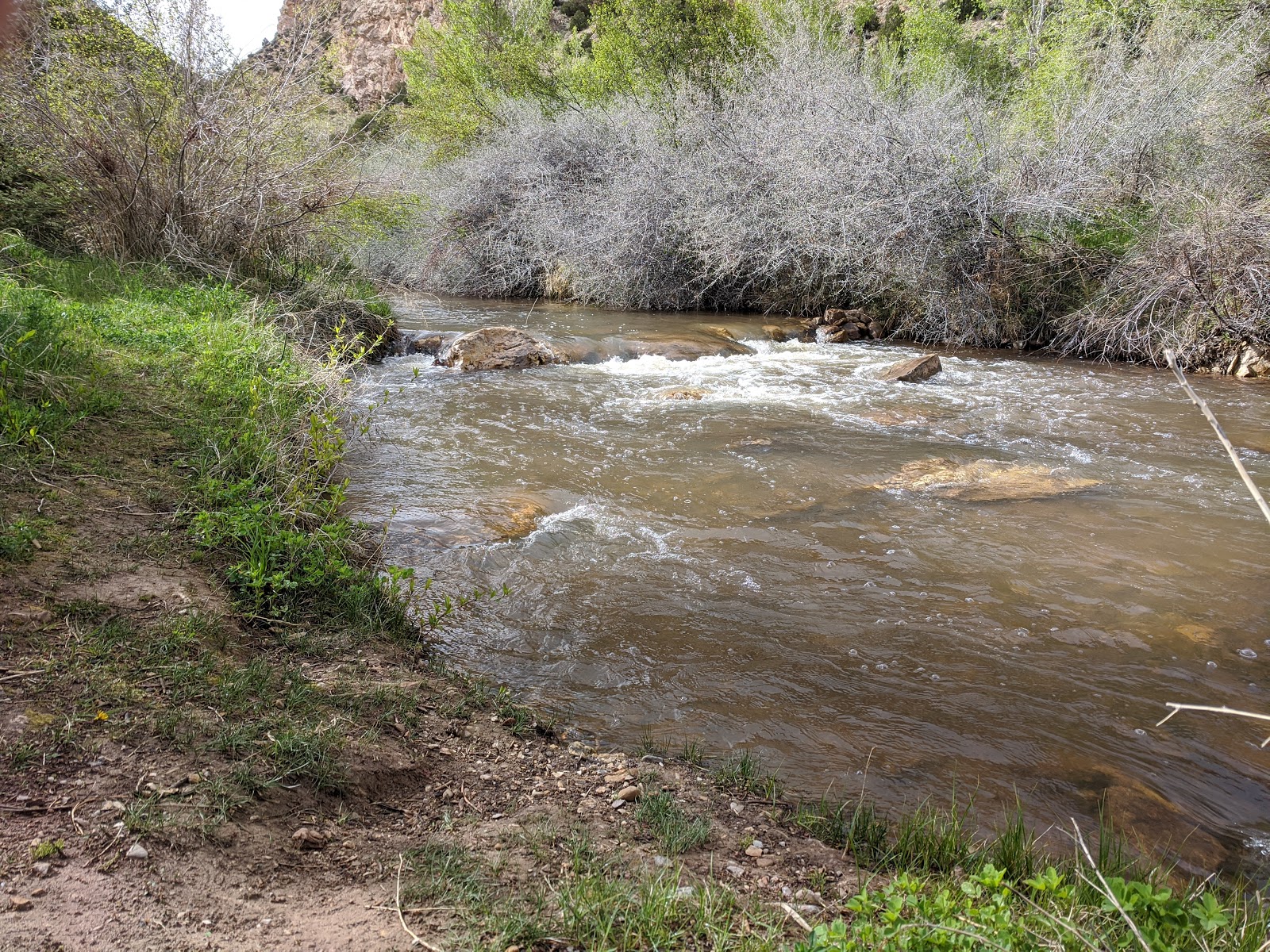 Cottonwoods River Camp