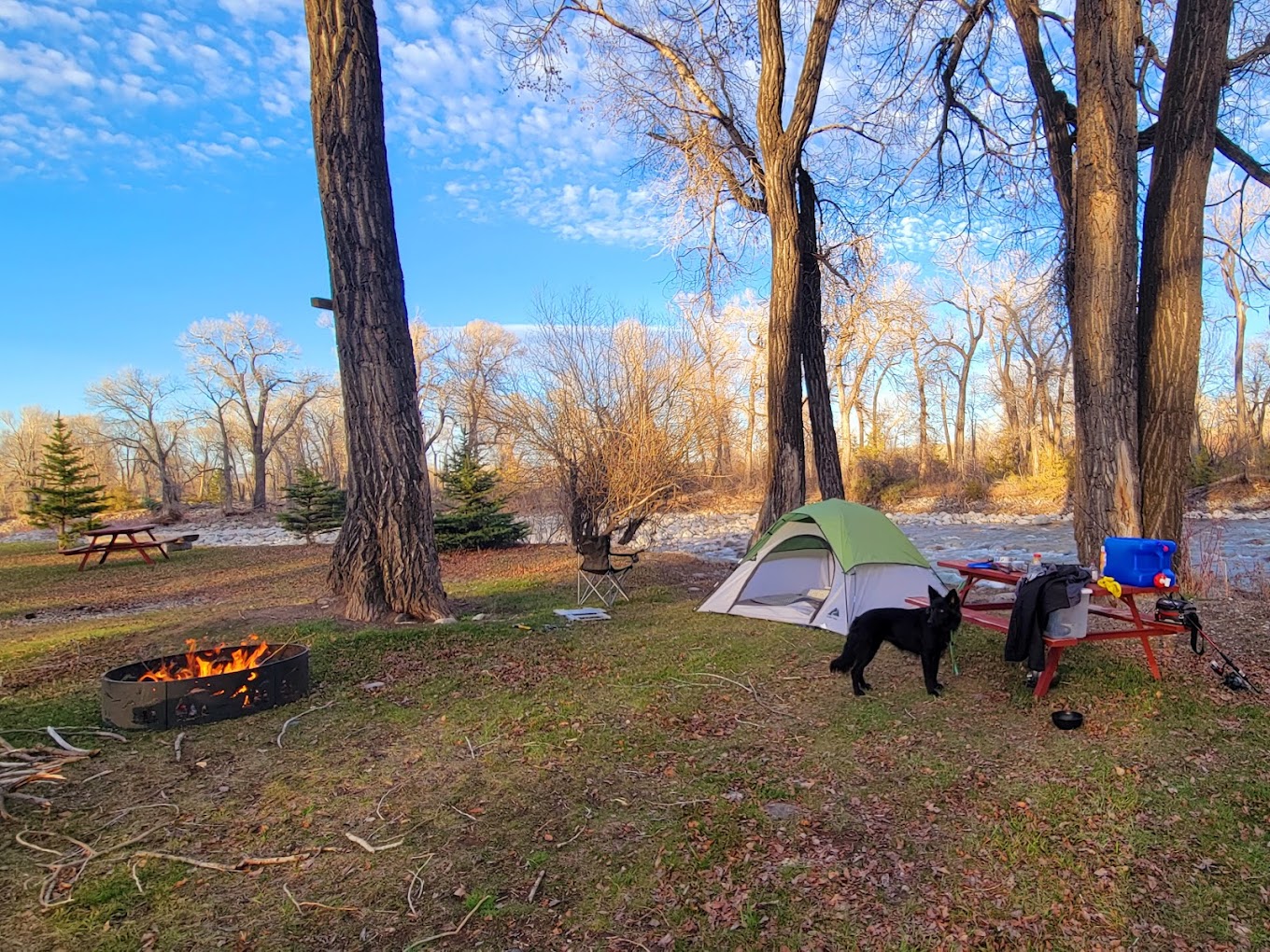 Spring Creek Trout Ranch and Campground