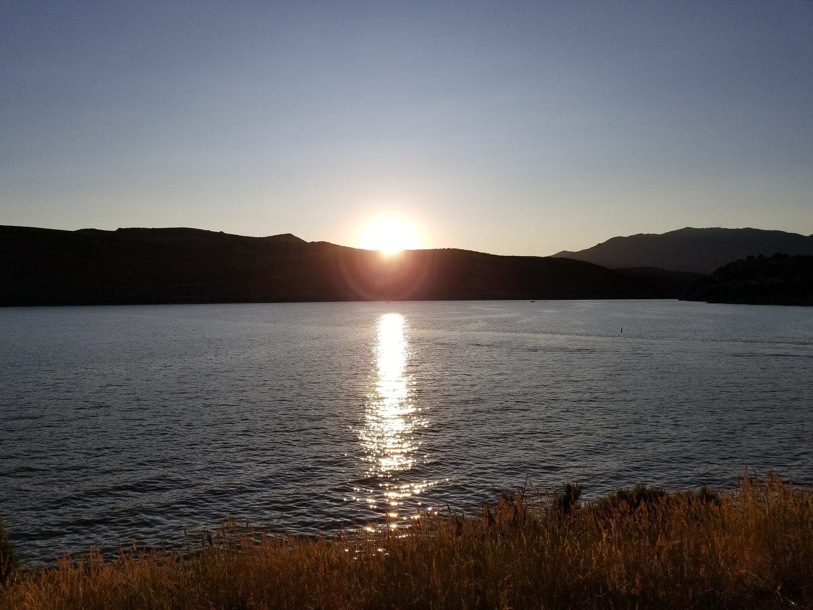 Juniper - Rockport State Park