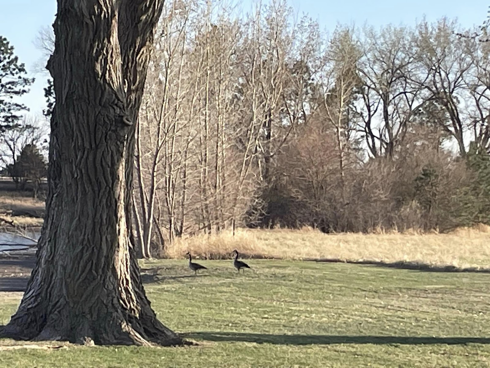 Western Campground & Motor Inn