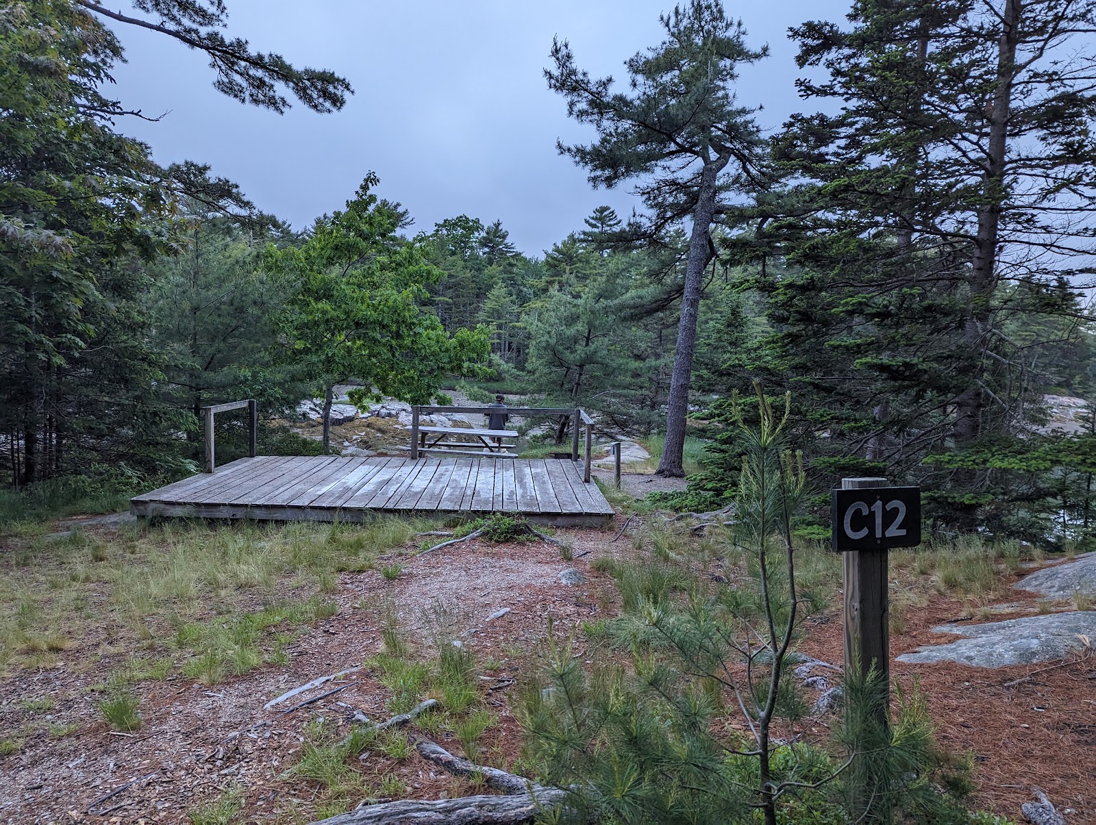 Mt Desert Campground