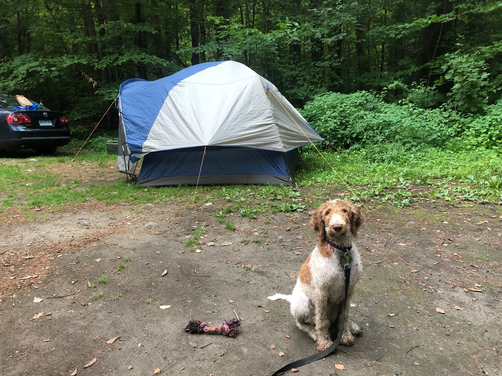 Austin Hawes Campground