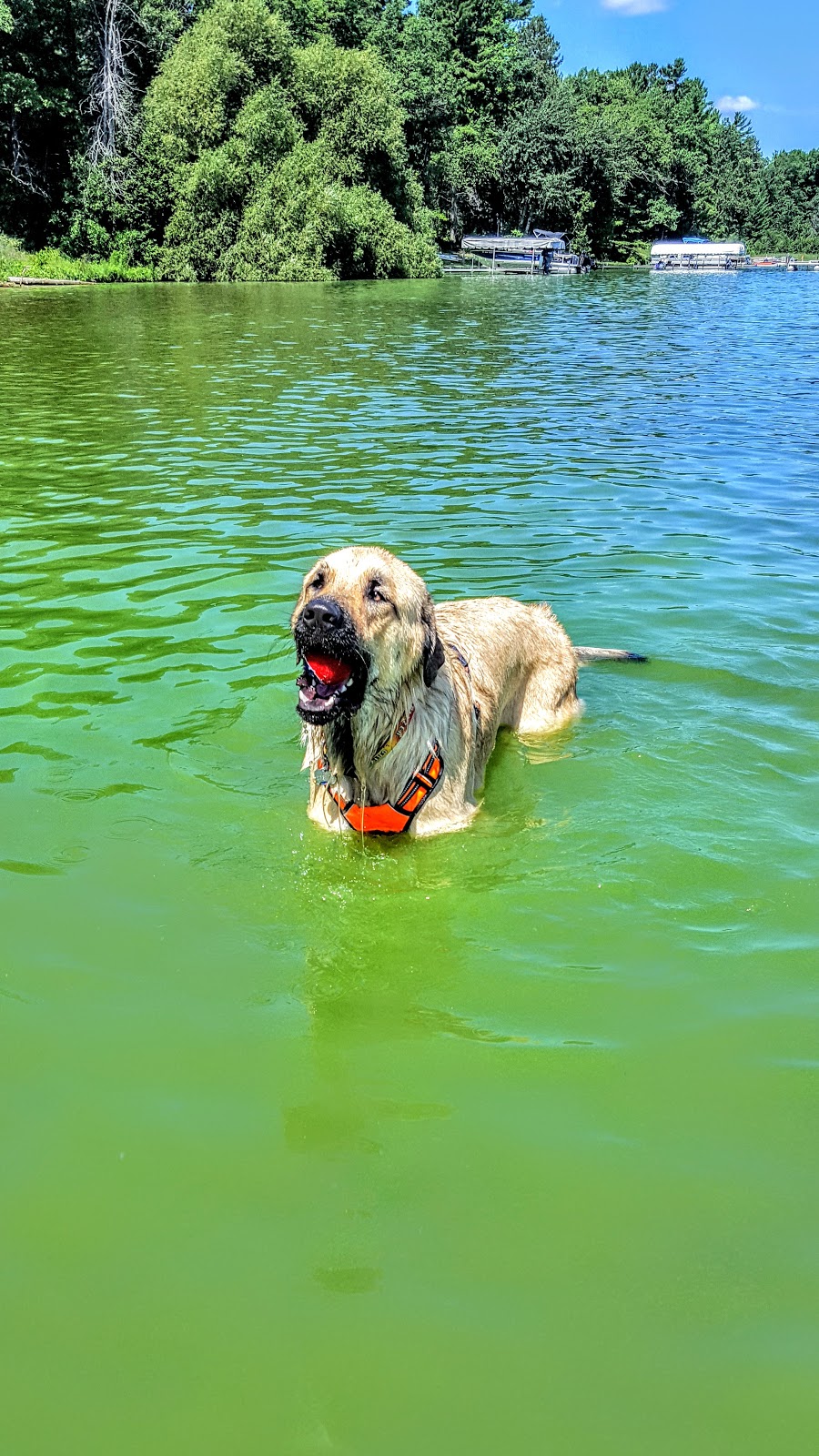 Van Etten Lake SF Campground