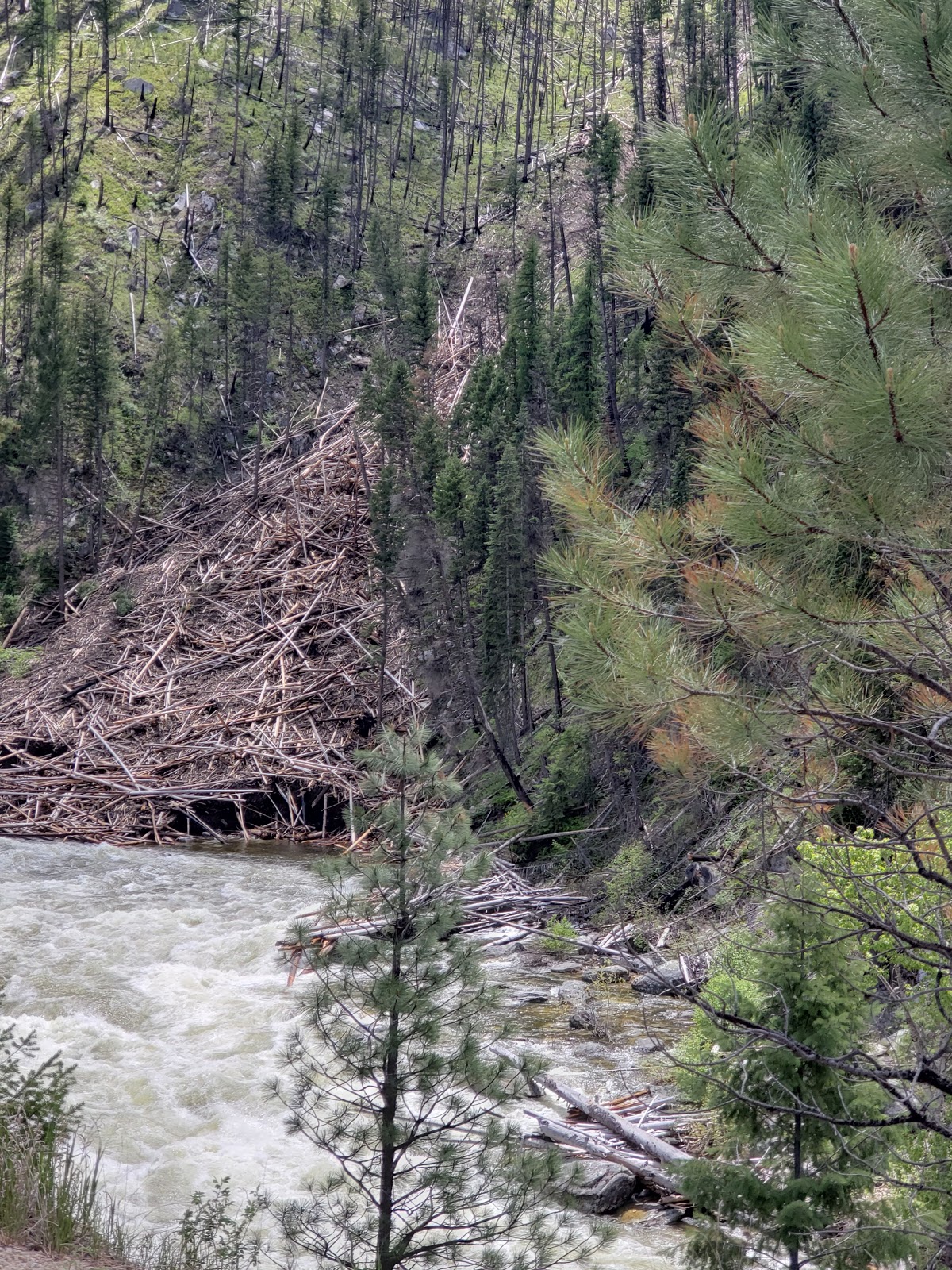 Yellow Pine Campground