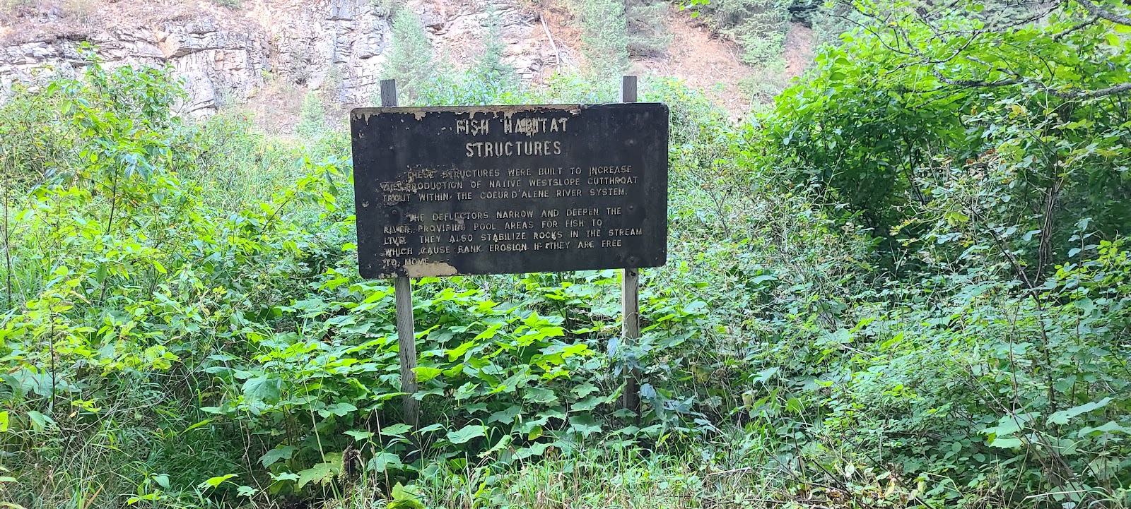 Honeysuckle Campground