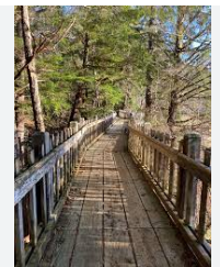 Starrigavan NF Campground