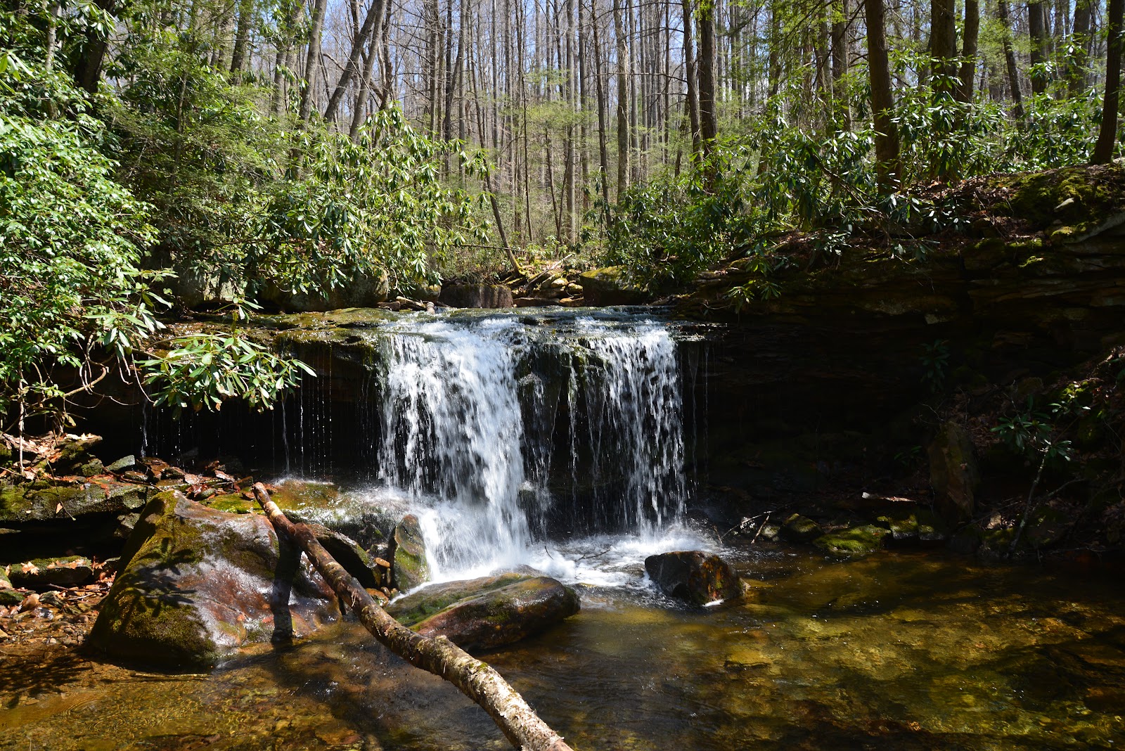 Cranberry River Sites NF Campground